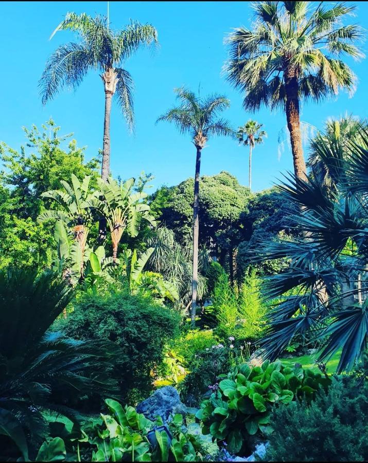 Home For 2 Few Steps From Casino Monte Carlo And Beach Beausoleil Luaran gambar
