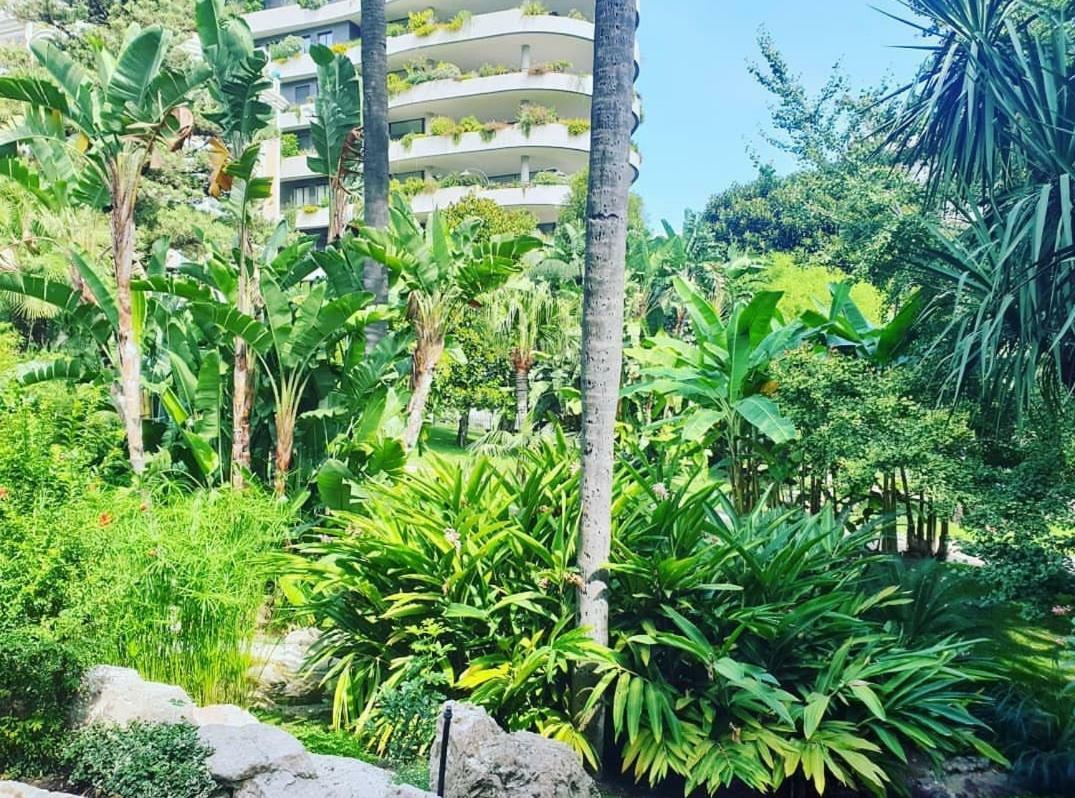Home For 2 Few Steps From Casino Monte Carlo And Beach Beausoleil Luaran gambar